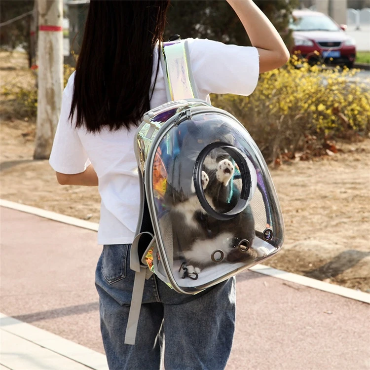 Outdoor Pet Transparent Carrier Bag 360 Panorama Cat Travel Bag Dog Carrier Back Pack Pet Carriers