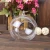 Import Party Suppliers Wedding Decorations DIY Promotional Decorative Hanging Open Candle Glass Ball from China