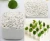 Import Perlite Filter Aid used for Beverages/ Industrial Chemicals from China