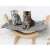 Import Pet beds accessories soft warm cat animal  Pet bed from China