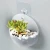 Import Plastic Cheap Small Garden Plant Stand Wall White Indoor Hanging Flower Pot from China
