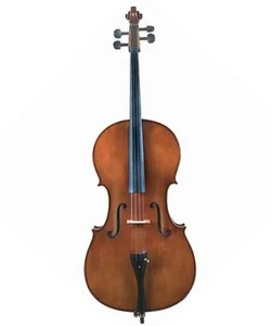 Popular solidwood cello