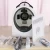 Import Portable beauty facial scanner skin analyzer device with camera from China