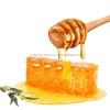 Premium Quality Pure and Natural 250g Eucalyptus Honey Round glass jar Best Manufacture price with good custom packing