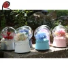 preserved flower music box forever rose in glass gift for bluetooth music