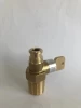 Professional manufacture cheap safety lpg cylinder valve with filling lock
