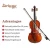 Import Professional Wholesale Handmade Advanced Natural Flamed Violin from China