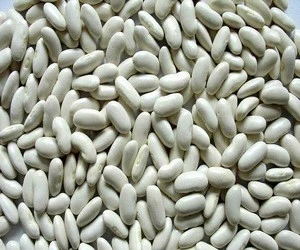 Promotion Sales Kidney White Beans