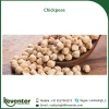 Pure Natural and Healthy A Grade Quality 9mm Desi Black Chickpeas