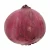 Import Quality Fresh Red &amp; Golden Onions Available from South Africa