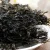 raw dried laver seaweeds