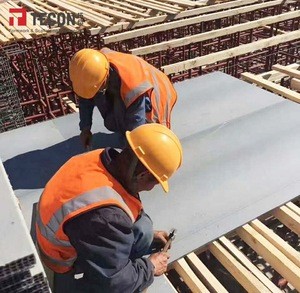 Recycled Hollow Plastic Faced Concrete Formwork Plywood Board