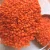 Import Red lentil  pure organic form Turkey best quality from Canada