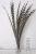Import reeves pheasant tail feathers for carnival from China