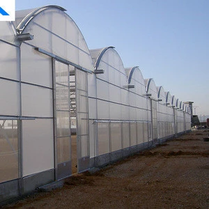Reinforced plastic film prefabricated tropical agriculture greenhouse