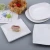 Import Restaurant Dinnerware White Dish Square Thicker Melamine Steak Plate from China