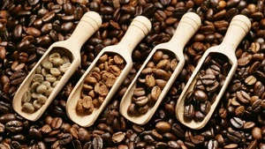 Robusta Grade Coffee Beans