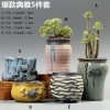 rslee design  ceramic pots succulent plants tea pot ceramic