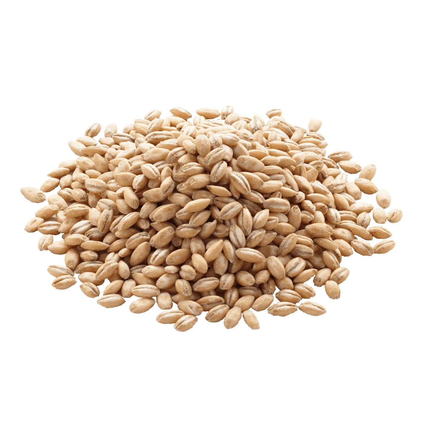 Russian wholesale barley, cheap prices