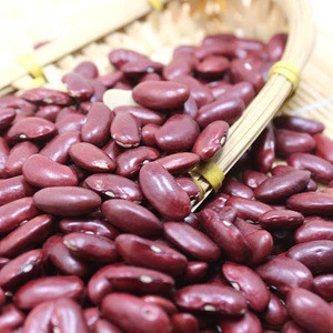 Sell premium grade Red cowpea bean Red Vigna bean with nice price wholesale