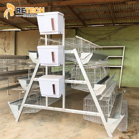 Buy Semi Automatic Chicken Raising Equipment Laying Hens Cage System ...