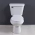 Import Single Flush Standard Height Elongated Toilet Bowl from China
