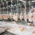 Small chicken slaughterhouse 500BPH poultry processing line slaughtering equipment