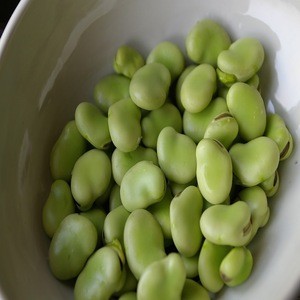 small size broad beans