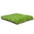 Import Sports flooring carpet grass artificial grass mat from China