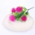 Import Sweet Holding Flowers Small Daisies Home Decoration Trendy Plastic Simulation Flowers Pastoral Artificial Chrysanthemums from China