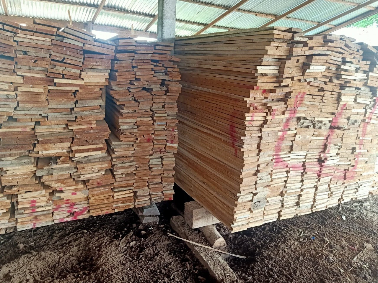 Teak wood  Timber / Lumber / Log to EU Canada Australia High quality good price low tax