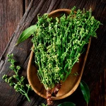 Thailand Vegetables Frozen Sadao (Azadirachta indica)