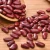 Top One  Wholesale  Sugar Beans Organic Red  Kidney Beans Price