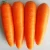 Import Top quality premium selection fresh carrot with cheaper price,bulk carrot price from China