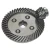 Import truck and tractor forging transmission bevel gears in different size from China