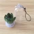 Import UCHOME free shipping 2019 Mix style pet plant with real cactus from China
