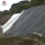 Import Uv Resistance Plastic Fish Pond Liner Waterproof Geomembrane from China