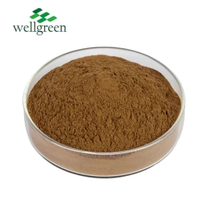 Wellgreen Hot Selling Export Plants Extracts Mimosa Whole Plant Extract Powder 10 1