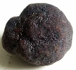 White or Black TRUFFLE