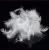 Import Wholesale 4-6cm goose feather for pillow from China