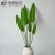 Import Wholesale artificial artificial plant turtle back leaf leaves Whole plant with anemone leaf Home decoration from China