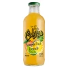 Wholesale Calypso Lemonade Bottle Fruit JUICE /Island wave lemonade calypso 591ml