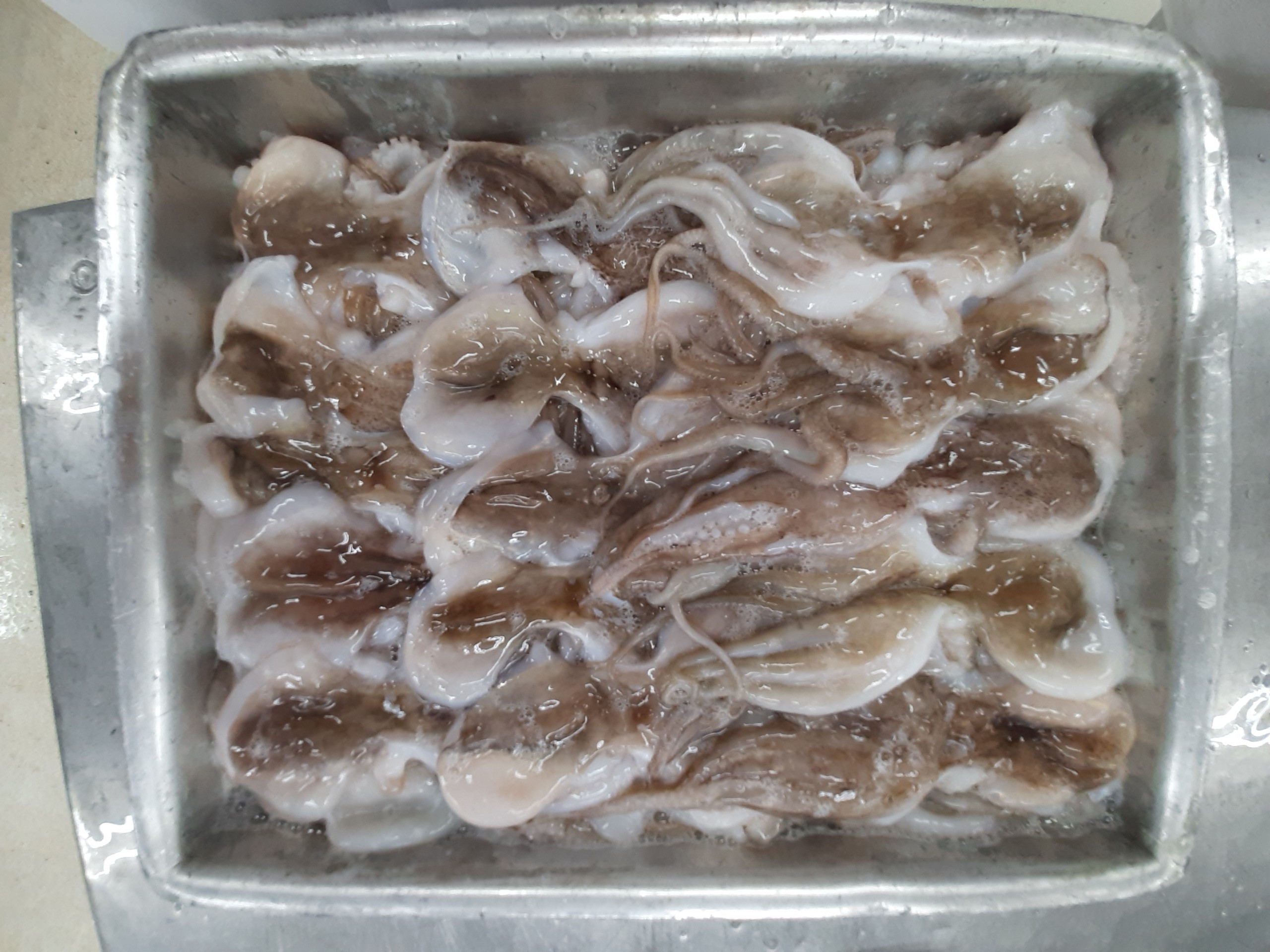 Wholesale cheap price frozen octopus high-quality frozen cut octopus