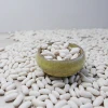 wholesale Chinese white kidney beans with good price