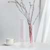 Wholesale Customized 8inch tall Double wall colofulr test tube transparent glass vase flower home decoration Welcome OEM