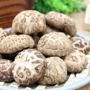 Wholesale export dry shiitake mushroom prices Chinese with good taste