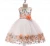 Import Wholesale fashion Children Frocks Designs Children Tulle Princess Dresses Girl Tutu Dress For 4-11 Year Old from China
