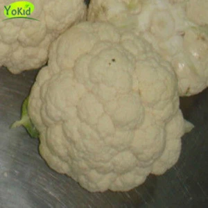 Wholesale fresh cauliflower