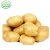 Import Wholesale Fresh Chinese Holland Sweet Couch Potatoes from China