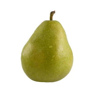 Wholesale Fresh Pear / Pear Fruit Price